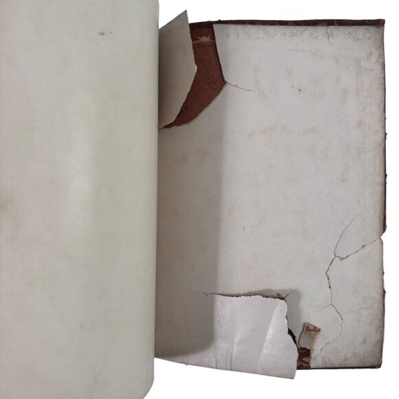 Vtg 1888 GRANDMA'S ATTIC TREASURES by Mary D. Brine Story of Old Time Memories - Picture 6 of 14